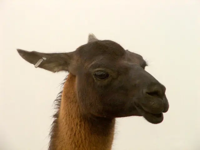 La perdita dell'udito potrebbe essere potenzialmente invertita? Nuovi risultati suggeriscono...