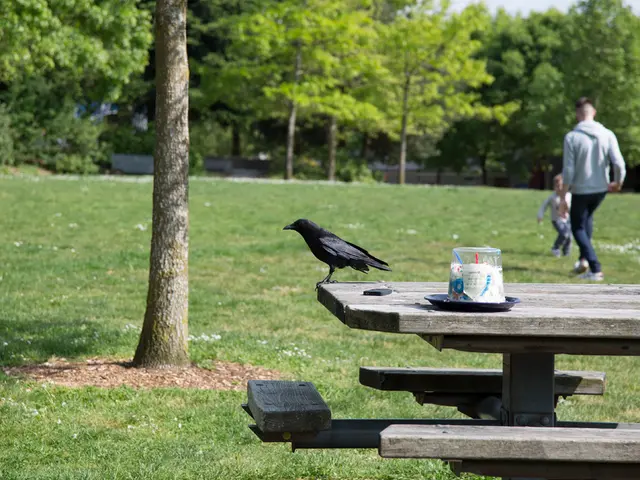 Importanza della natura: Discorso di Ricarda Lang