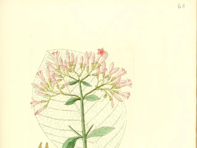 Incoraggiare la crescita delle cellule staminali indotta fisicamente