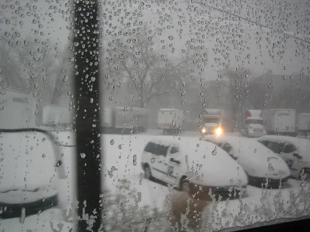 Acquazzone torrenziale causa la caduta della finestra della palestra a Zapopan, Jalisco; due...