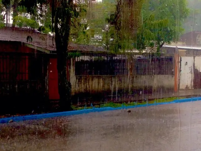 Piogge Forte Anticipate si Stanno Avvicinando a Mumbai, Allerta Gialla Dichiarata in Specifiche...