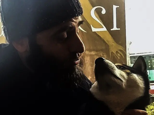 Classifiche aggiornate dei collari per il controllo delle pulci più efficaci per i cani nel 2025