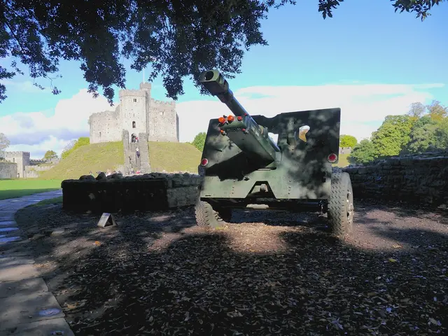 Veicoli Aerei Non Tripulati Rilevati Vicino alla Linea di Controllo a Poonch; Le Forze Militare Si...