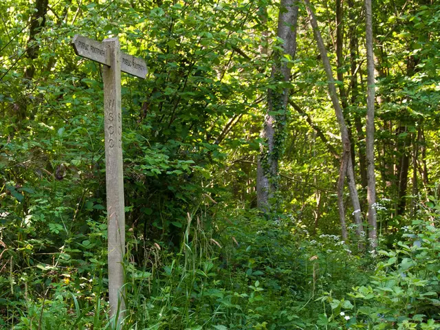 Espressioni Gioraliere: Definizioni Sostantivi, Verbi, Aggettivi, e Parole Comuni