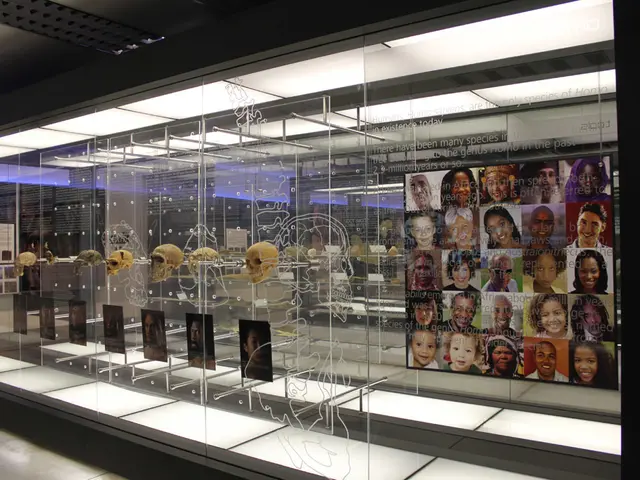 Sei individui subiscono aggressioni da arma da taglio al Humboldt Forum, causando ferite