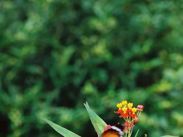 Experire After Effects con Voranigo: Consigli per Gestire i Sintomi