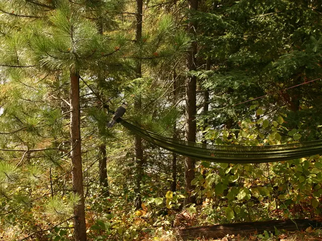 Realizzazione di 7 affascinanti attività di intreccio all'aria aperta utilizzando filati naturali