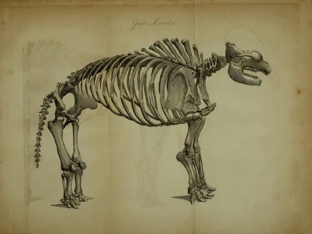 È possibile resurrezione di un Mammuth lanoso attraverso tecnologia di clonazione?