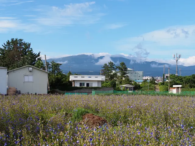 Finanziamento della centrale elettrica nel più grande sistema virtuale della California che riceve...