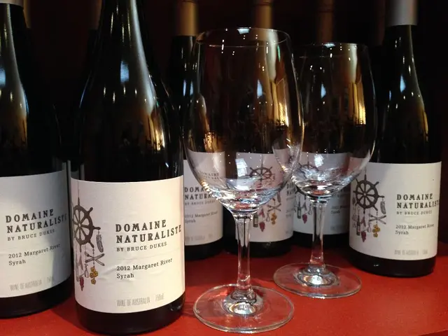 Vino Rosso Spumante dall'Italia, Conosciuto come Lambrusco