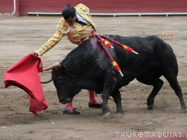 Torero Roca Rey Tornerà a Palencia Martedì, Dopo l'Incidente di Goring a Bilbao con un '@'...