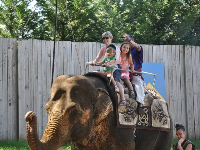 In situazioni simili, le madri elefanti incontrano difficoltà, le nonne elefanti offrono supporto