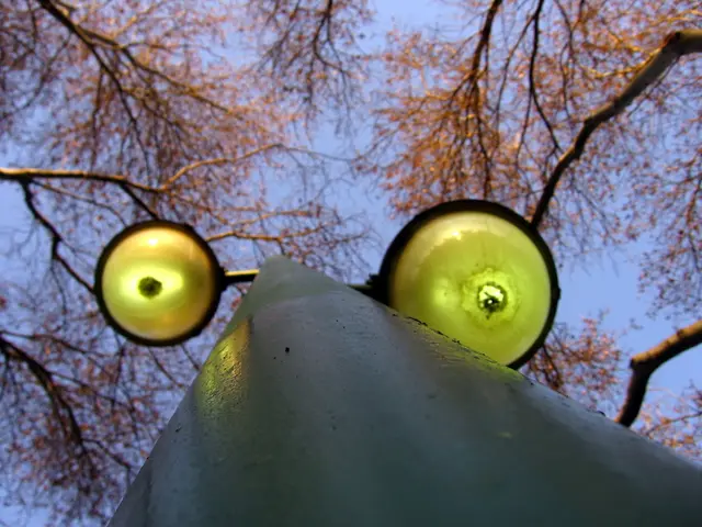 Goditi lo spettacolo mozzafiato delle aurore boreali in Canada con questi 5 metodi impressionanti