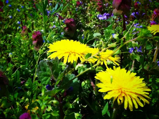 La Missione Urgente per Protggere la Vegetazione più a Rischio della Terra