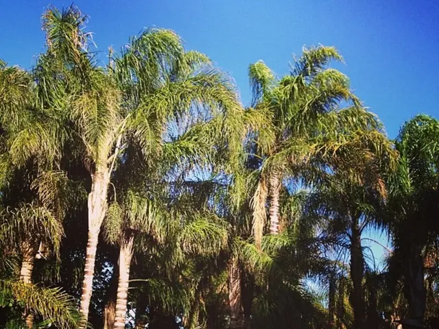 Scoprire l'angolo intatto della Malaysia: il territorio insulare dello Sarawak