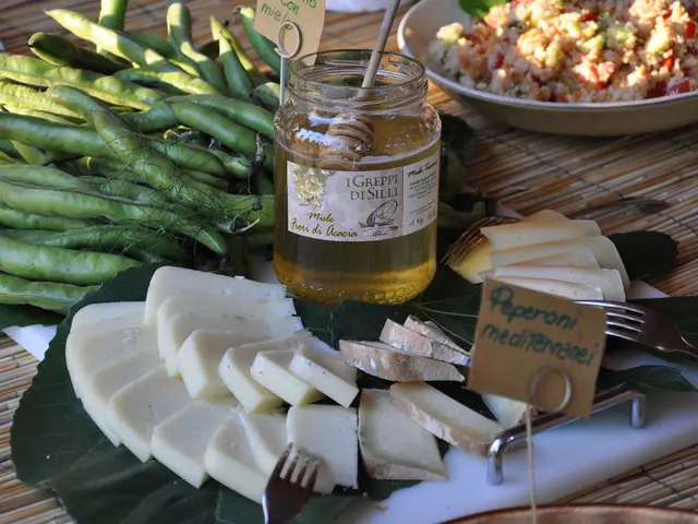 Chimici dell'Università RUDN producono biodiesel dalla pianta jatropha curcas