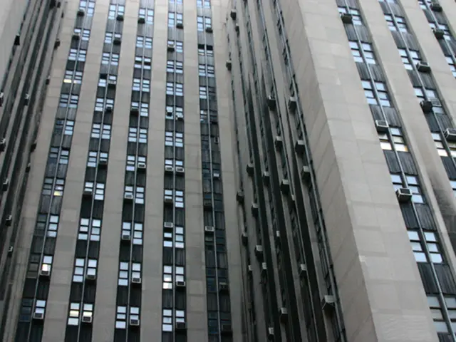 Costo del ripulitore: spese stimate