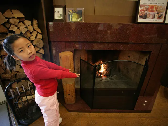 Dodici progettac BEURNIWO BURNSWORD con bru_i di legna per Casata calore e un'imp_bior etica...