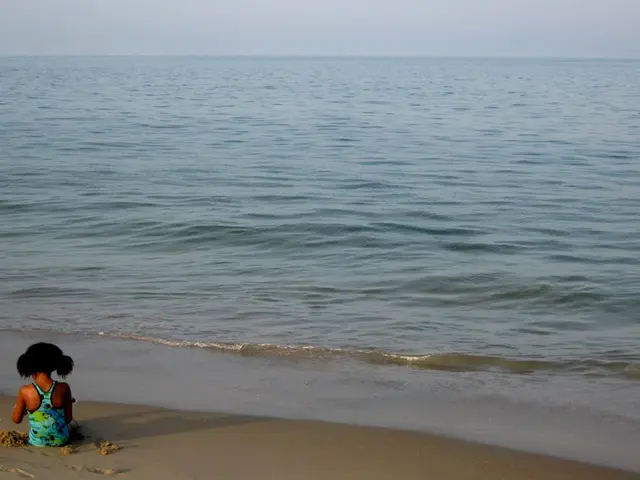 Composizione 'Oasi' di Marie-Christine Chartier