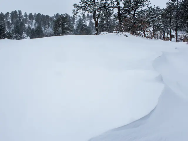 Una nuova entità entra nel dominio della previsione di valanghe