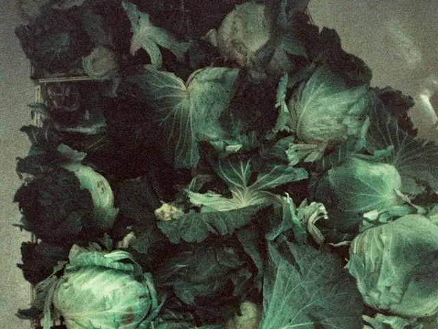 Esplorazione di rimedi per la cellulite: esperimenti personali di un'esperta di bellezza con...