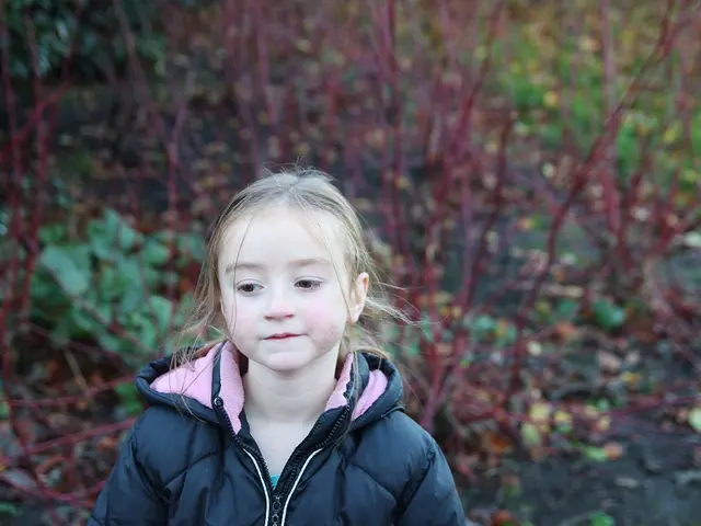 Florente Industria del Cinema nella Nova Scozia Segna un Periodo Produttivo