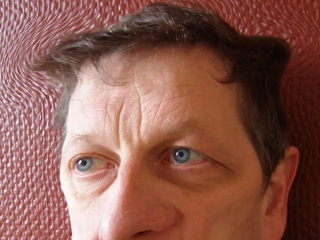 Incidente pluriveicolo a North York, con un automobilista che fuga, segnalato dalle autorità