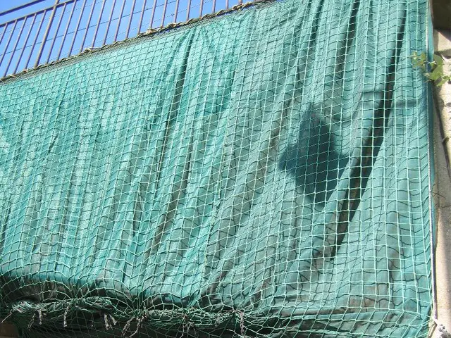 Scelte Top per Pannelli per recinzioni: Esplora 8 Opzioni stile per migliorare il tuo spazio...