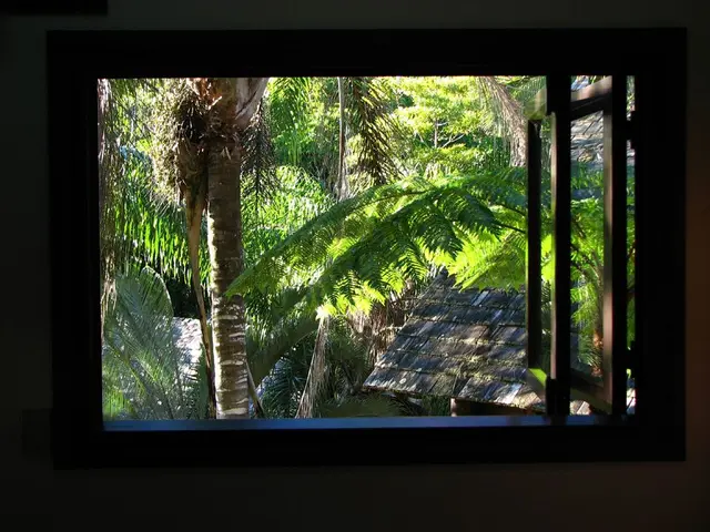 Bosco contro West Ham: Previsioni e Strategie di Scommesse - Wood continuerà la sua striscia...