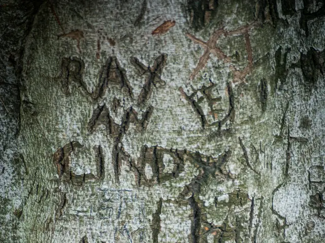 Efforti dell'amministrazione per rimuovere i bambini guatemaltechi momentaneamente fermati dal...