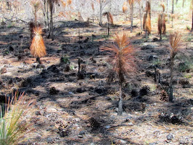 Eolico e pannelli solari installati su terreno agricolo: QUESTO È IL VALORE CORRENTE DELLA TUA...