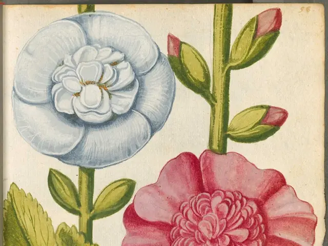 Quiz del Giorno sulla nostra piattaforma esplora i profondi laghi, le alte cime e i dettagliati...