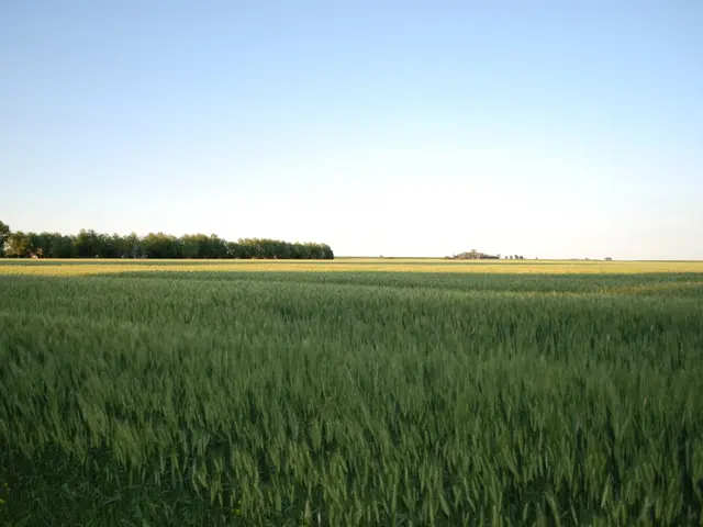 Pacifico estensione di 760 ettari situato nei Borders scozzesi, popolato da aquile, speronieri e...