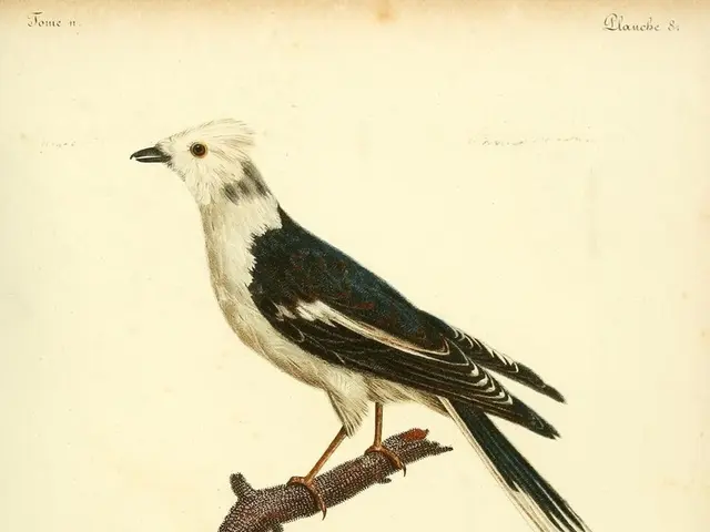 Piante caduti da lasciare senza potato