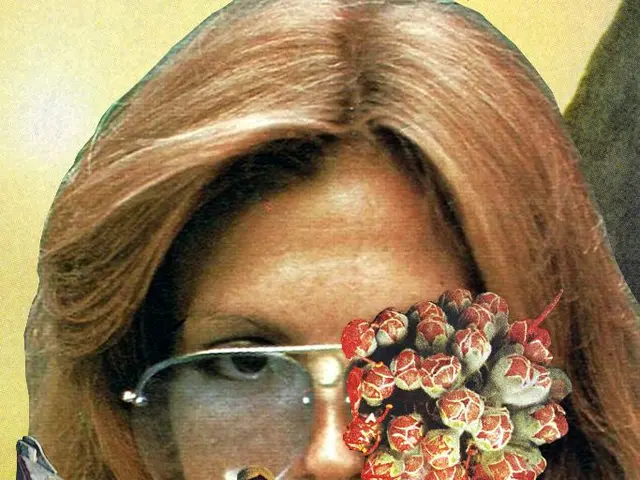 Olivia Attwood mostra pubblicamente il proprio corpo in un bustier, scatenando controversie con il...