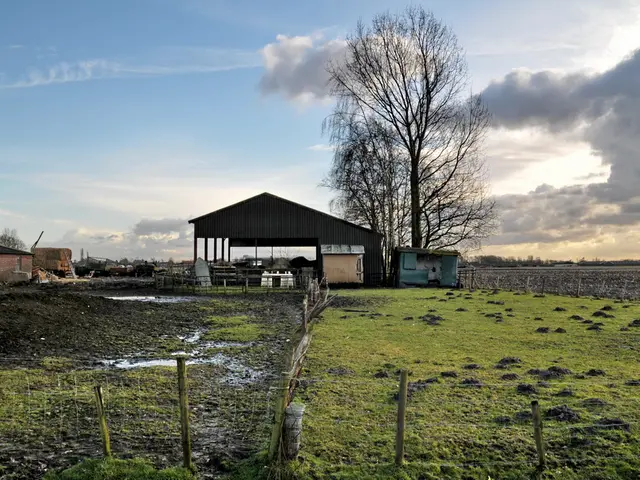 Sostegno invernale per l'alimentazione degli uccelli nel Fondo paesaggio e biodiversità della...