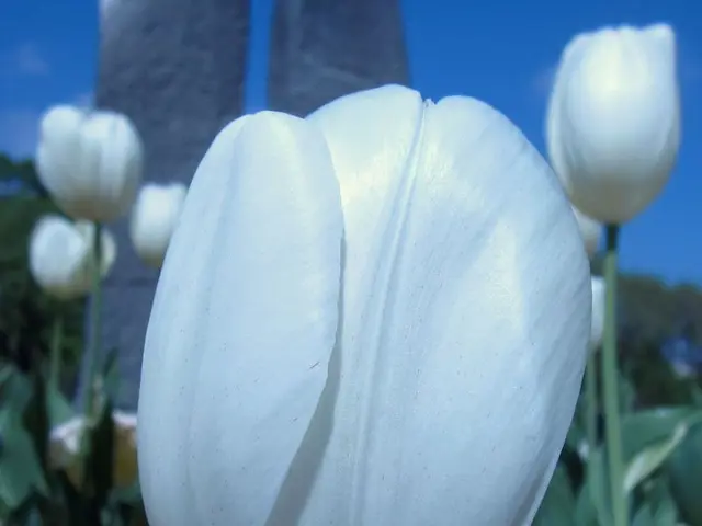 Ignora le previsioni del tempo; come editor di shopping, ho sfogliato le ultime collezioni...