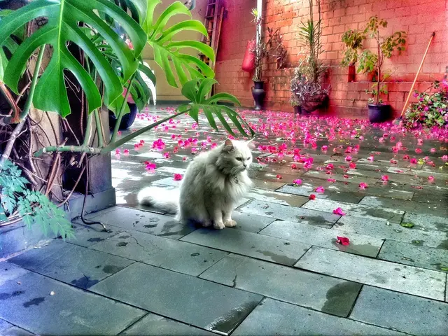  Rifugio tra le Montagne Catena: l'Armonica Sintesi di Selvaggio e Coltivazione di Alan Calpe e...