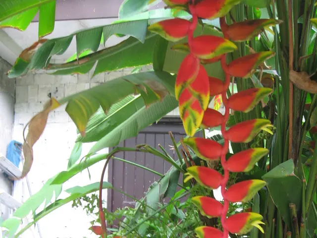 Il fascino visivo del tuo giardino è disturbato da tubi antiestetici? Scopri questi 6 metodi...