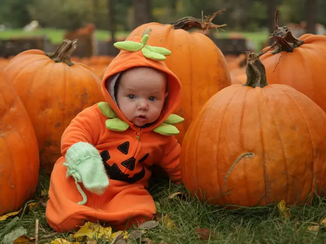Attività per la scuola materna: Ordina i colori per la festa del Ringraziamento