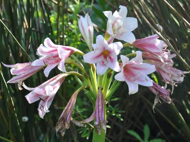 Profumo Autunnale: Mettiamo Fine alla Diatriba Aromatica