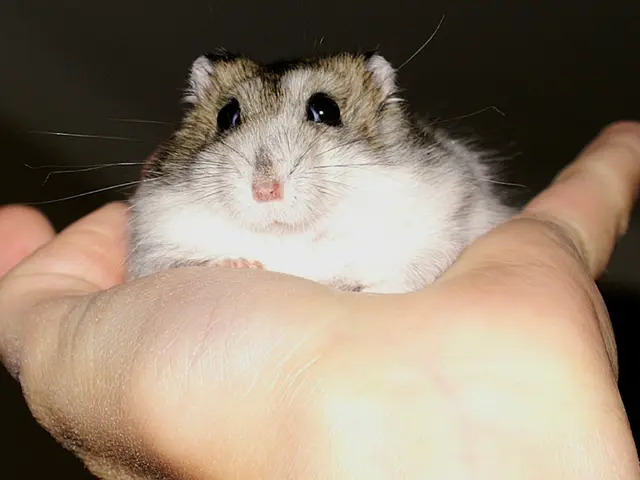 Ruolo Potenziale dei Virus Comuni nell'Innescare la Malattia di Parkinson?