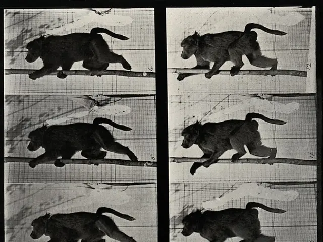 Comprendere LivePortrait su Kuaishou ha fornito intuizioni sulle emozioni di Tu Hengyu...