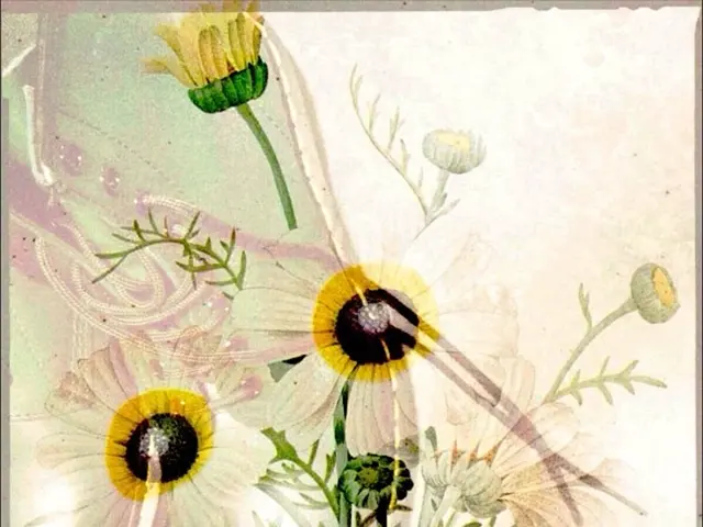 Attendi uno Spostamento: le Infradito saranno Superate dalla Crescente Popolarità di Calzature...