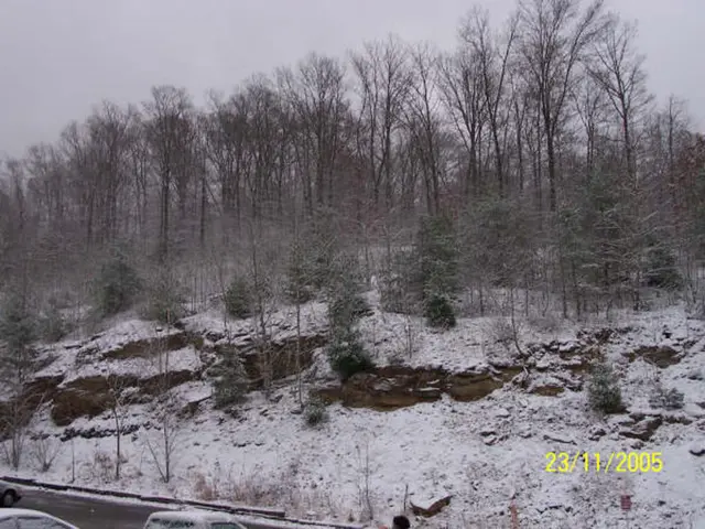 Renne in Svezia mostrano qualità bioluminescenti per evitare incidenti stradali