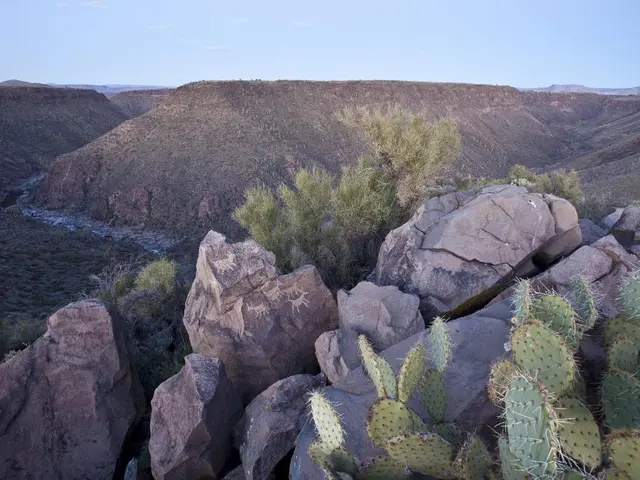 Scoperte Fossili di Mammiferi Giganti Costantemente Scavati Durante lo Sviluppo Residenziale e...