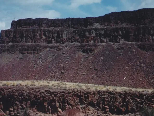 Comprendere la Malattia da Coronavirus 2019 (COVID-19)