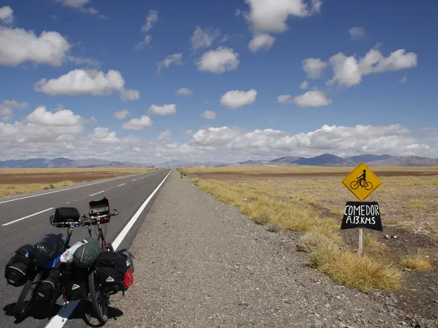La fibrosi cistica, in sintesi, è un disturbo ereditario che colpisce le secrezioni mucose, il...