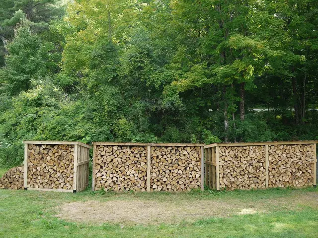 Svelare il complicato mondo dei Metodi di Conservazione del Legno