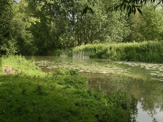 Azienda lattiero-casearia respinge accuse di aver causato la morte dei pesci nel fiume Blackwater